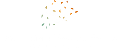 Dra. Luciana Paes de Barros - Imagem 15